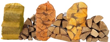 beech logs